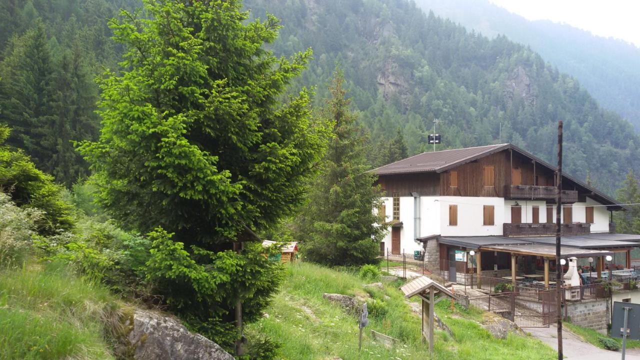 Hotel Rifugio Stella Alpina à Saviore dell'Adamello Extérieur photo