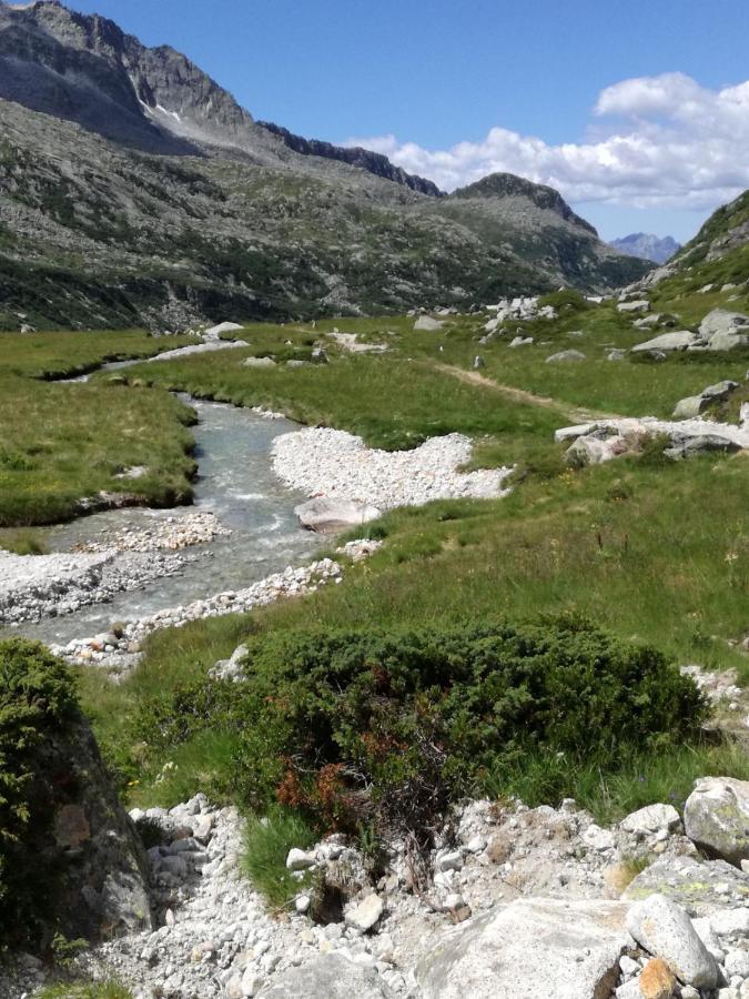 Hotel Rifugio Stella Alpina à Saviore dell'Adamello Extérieur photo